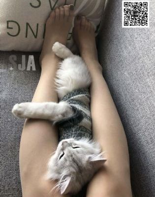 国产人人dvd影院_BD韩语全集在线观看