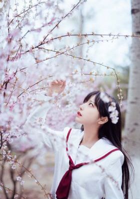 中国国产ssd芯片_BD英语免费观看最新